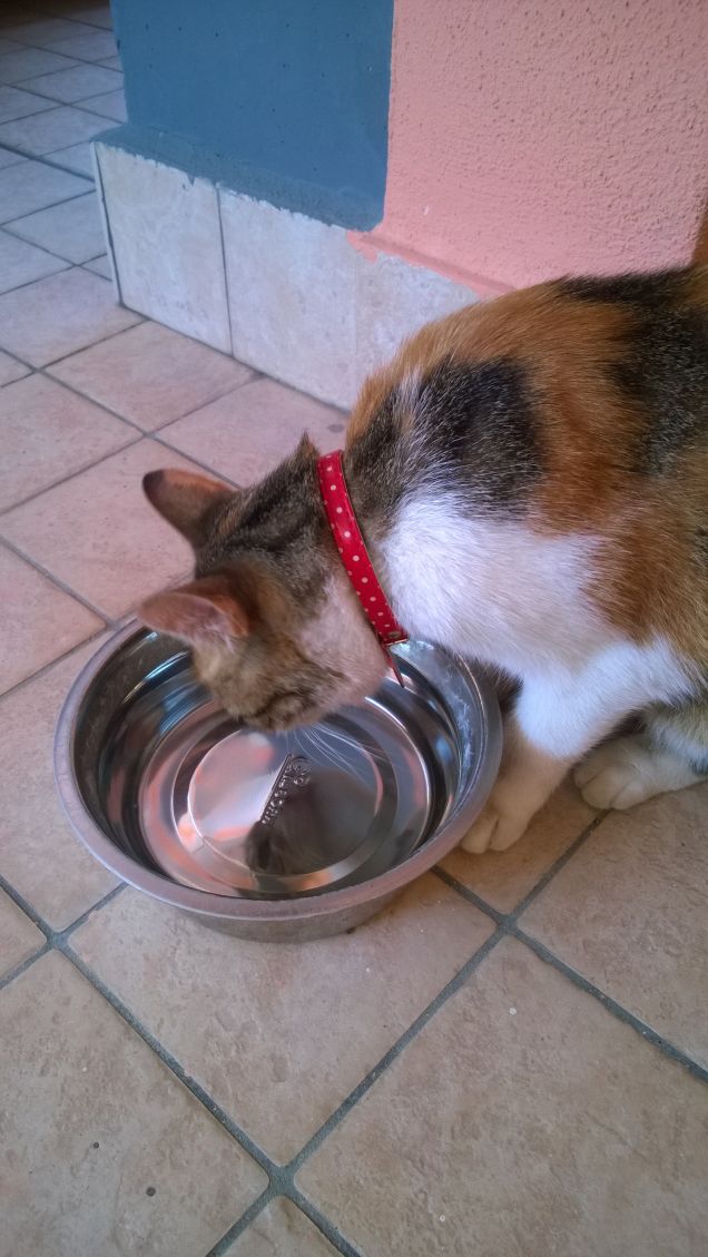 Irina beve l'acqua, ha sete.