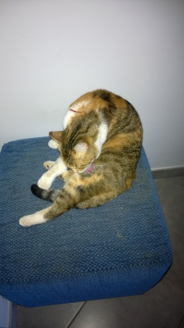 Pulizie prima di dormire