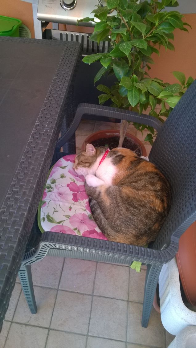 Irina riposa nel fresco terrazzo.