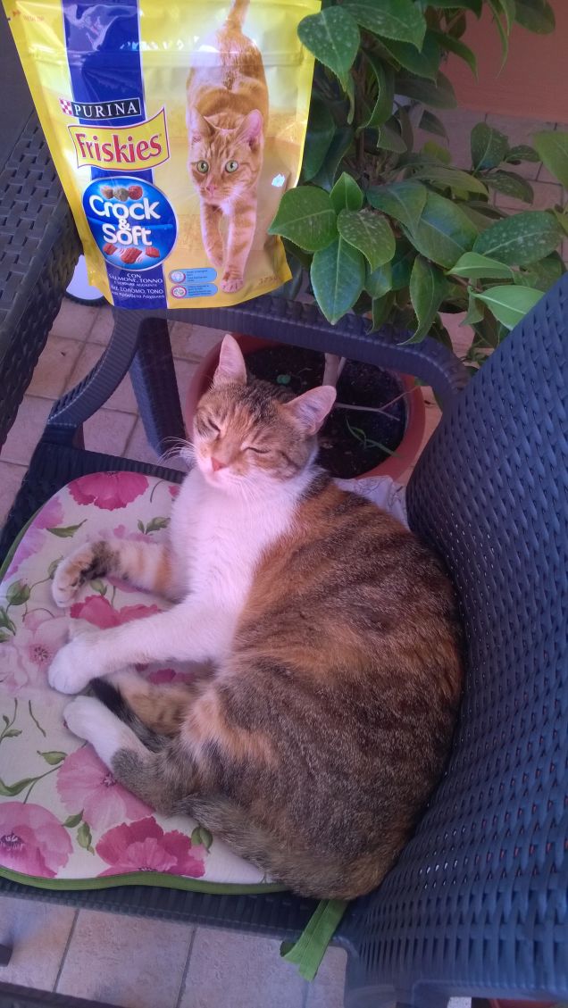 Per Irina la pappa è molto importante.