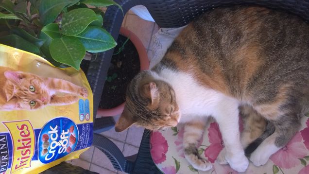 Irina la mia stellina.