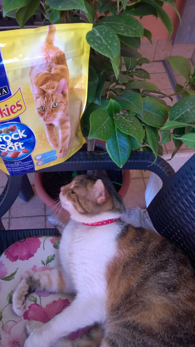 Grazie da parte di Irina.