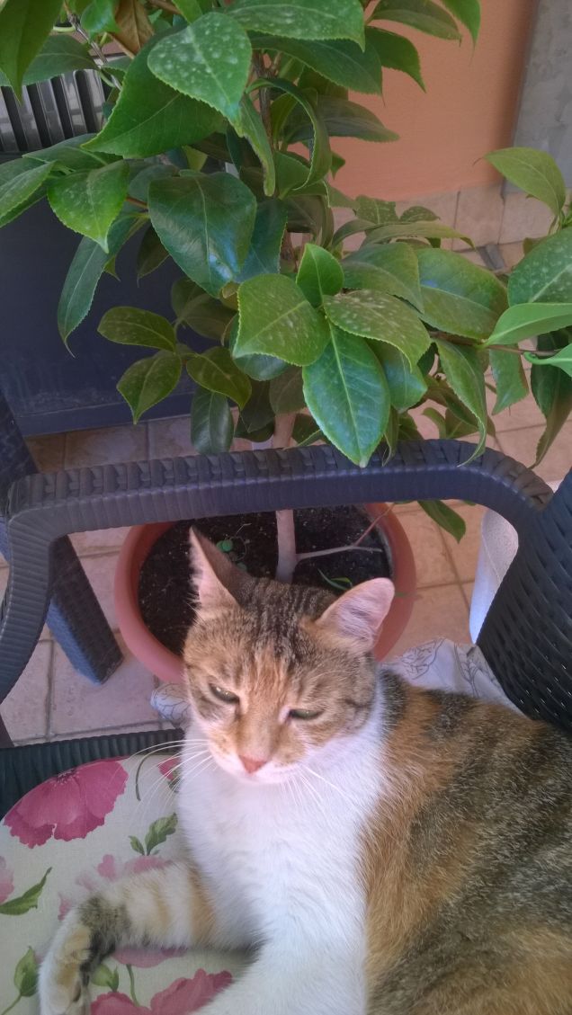 Vederla cosi mi riempie di gioia.