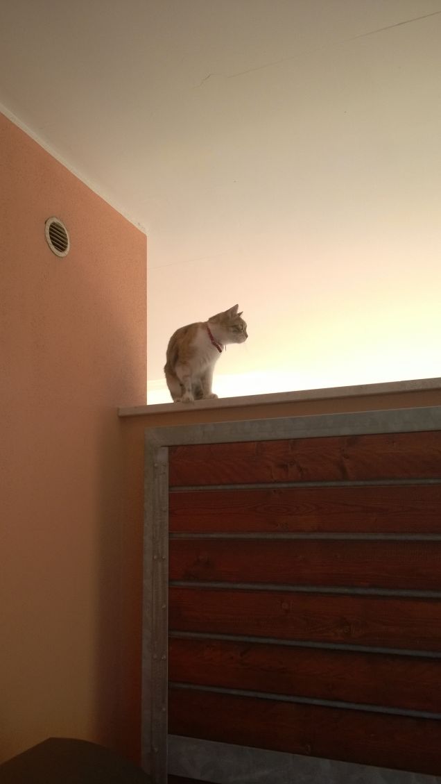 Sto bene quando sono in alto