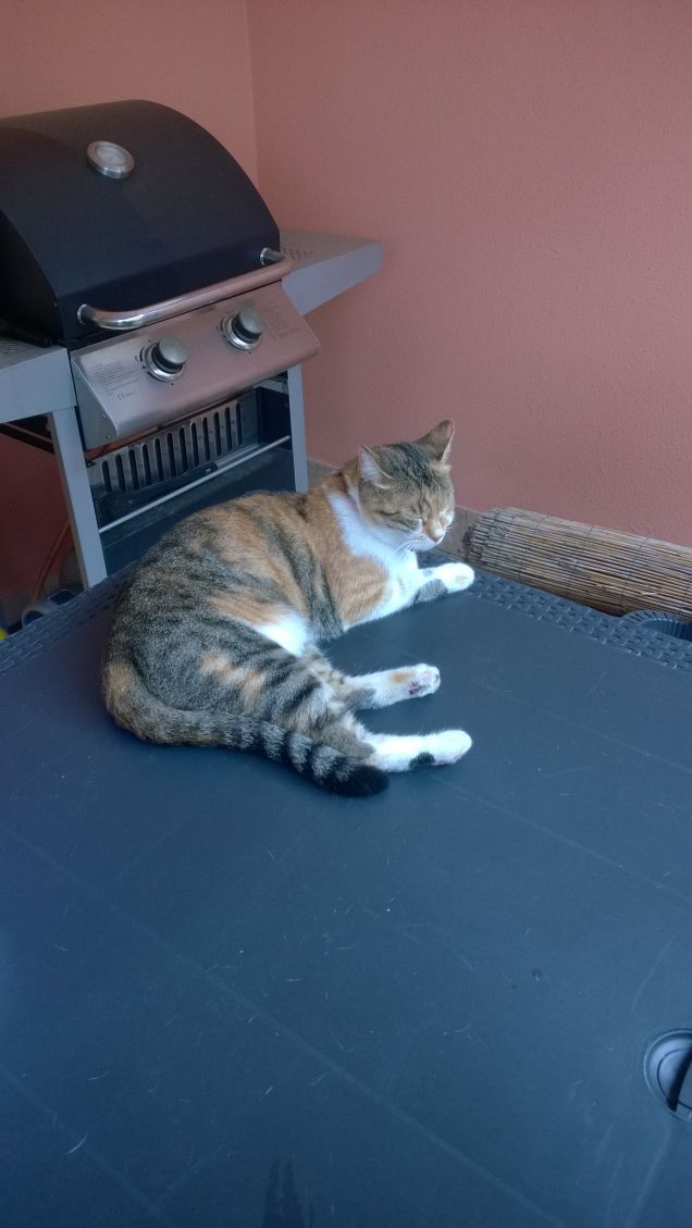 La stanchezza si fa sentire