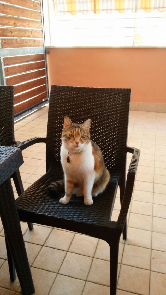 Sono la Regina della casa.