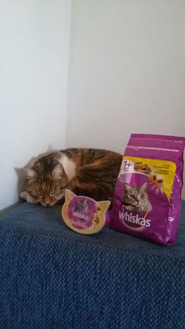 Oggi abbiamo fatto spesa