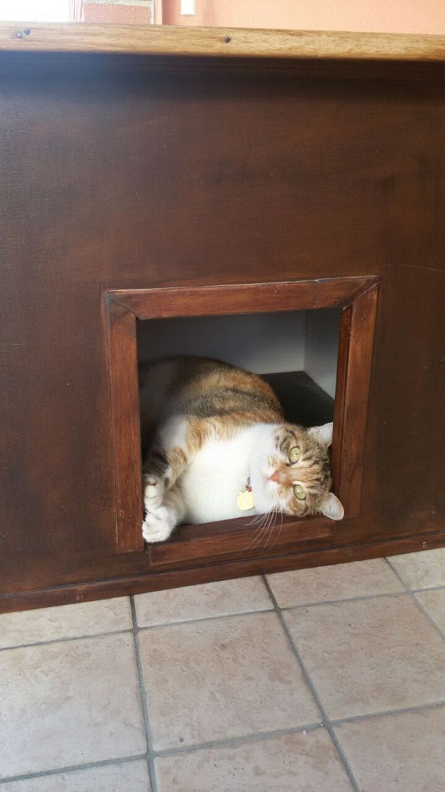 Bry nella sua cuccia