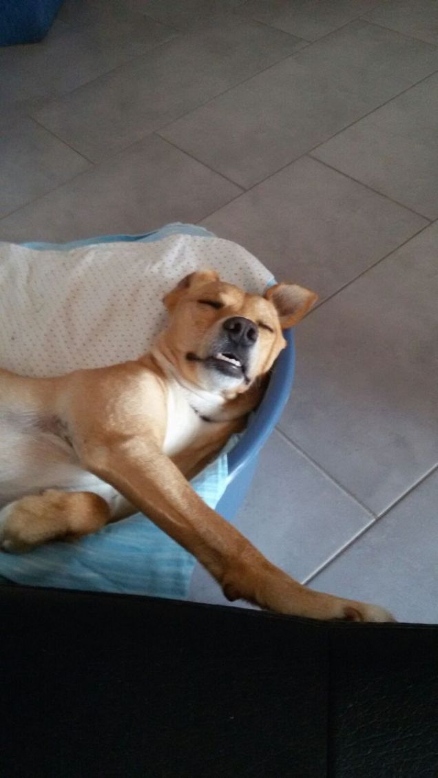 Si dorme alla grande