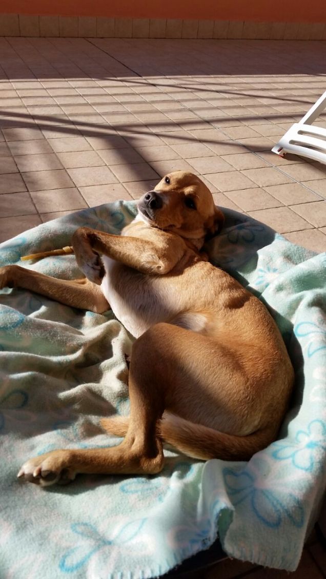 Spaparanzato al sole.