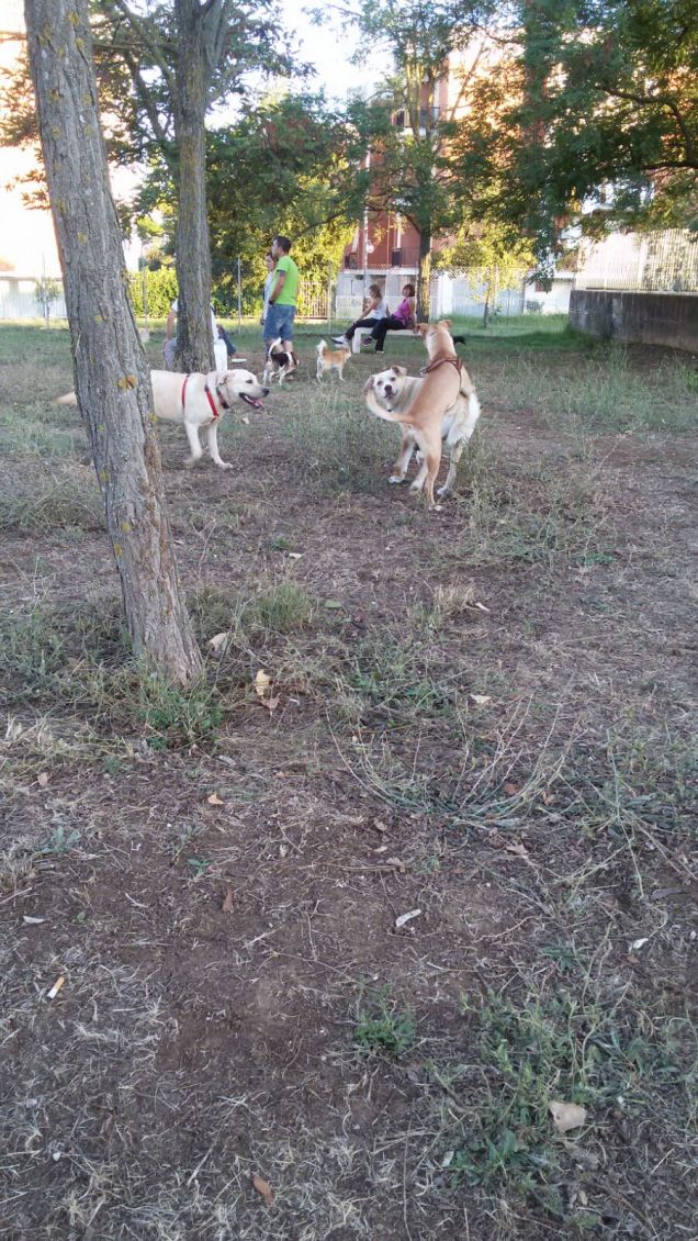 Giocando con gli amici