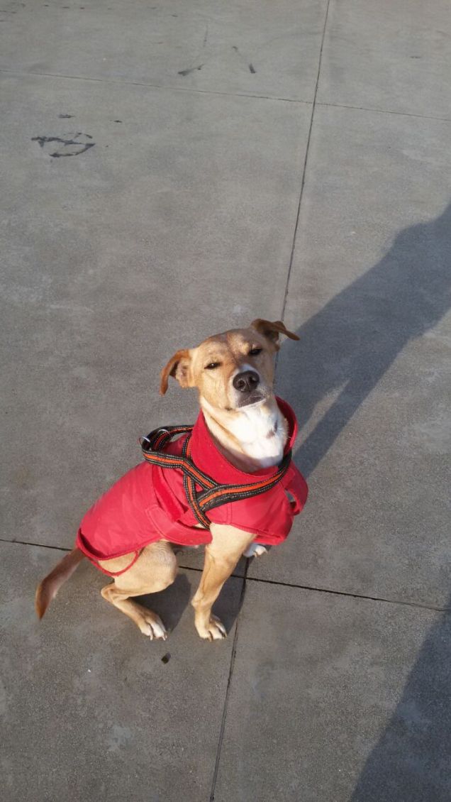 Con il cappottino rosso 