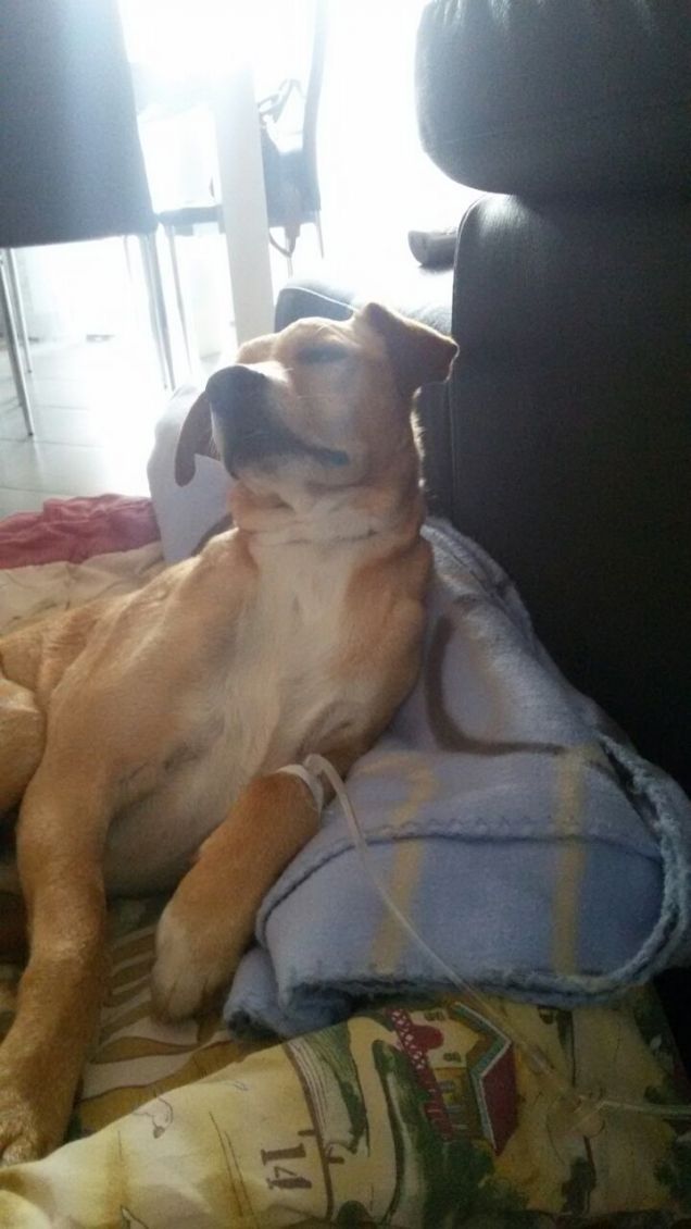 Sono stato poco bene, ma ora sono in gran forma.