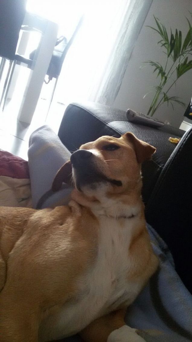 Tanta voglia di stare bene.