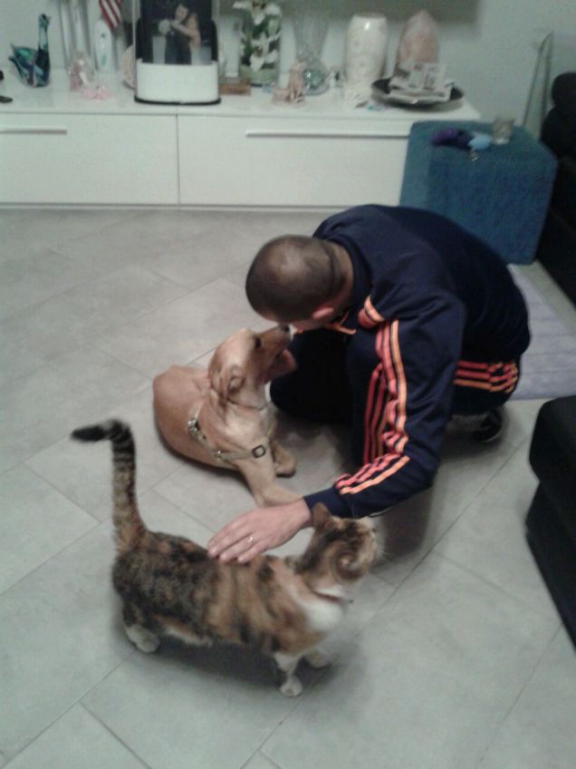 Il nostro Dog Sitter