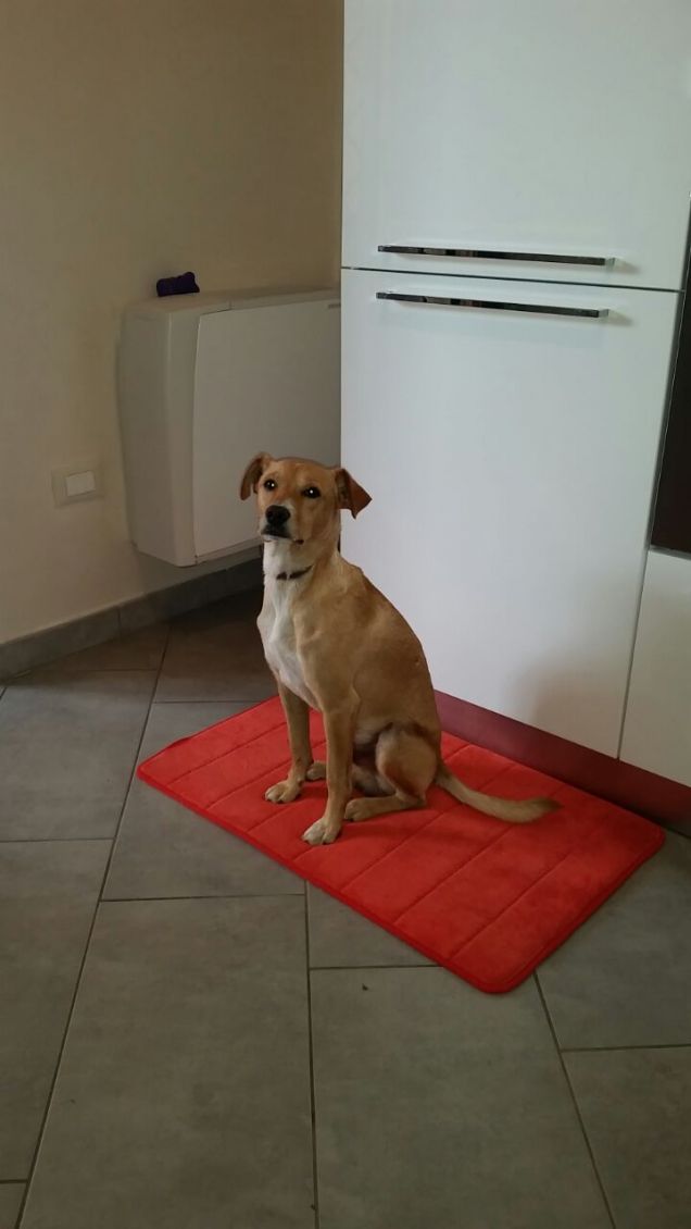Oggi non si mangia?