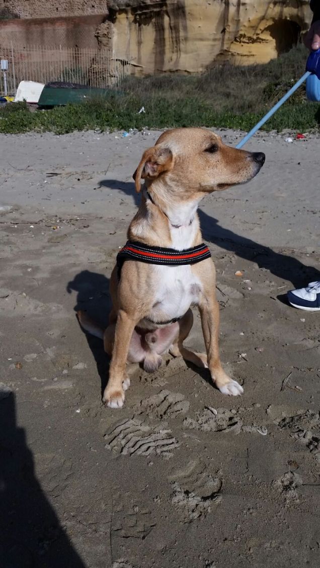 In spiaggia