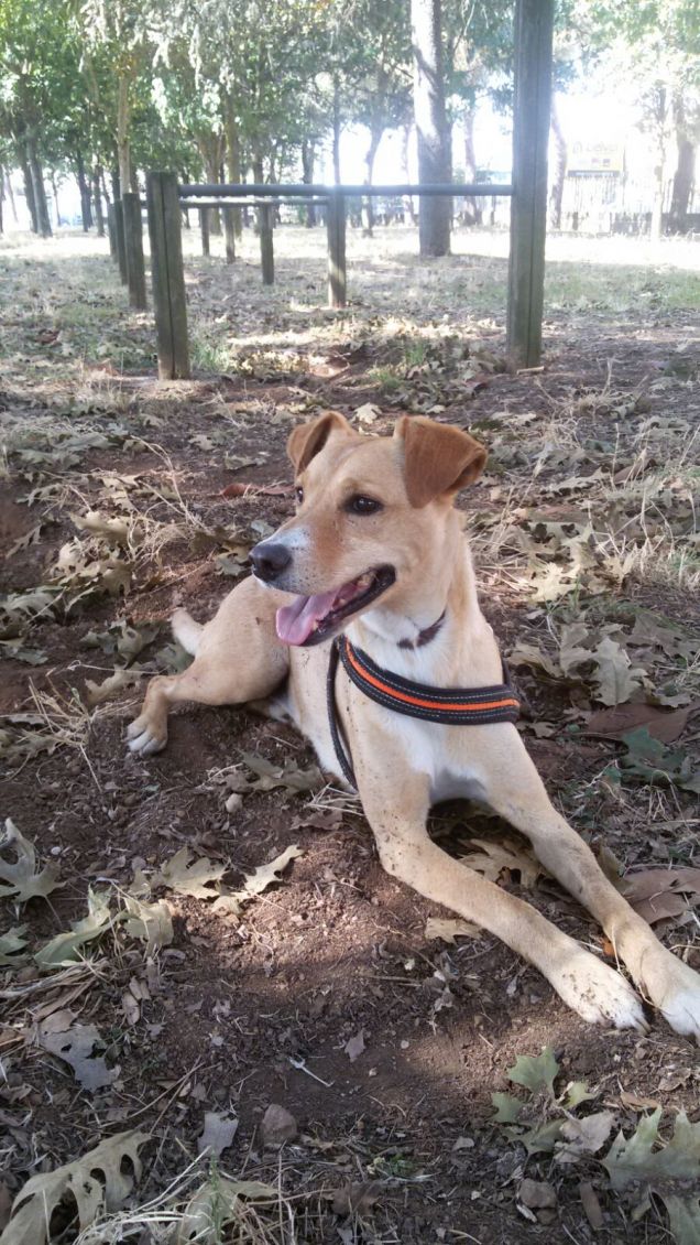 Aspetto che arrivi qualcuno