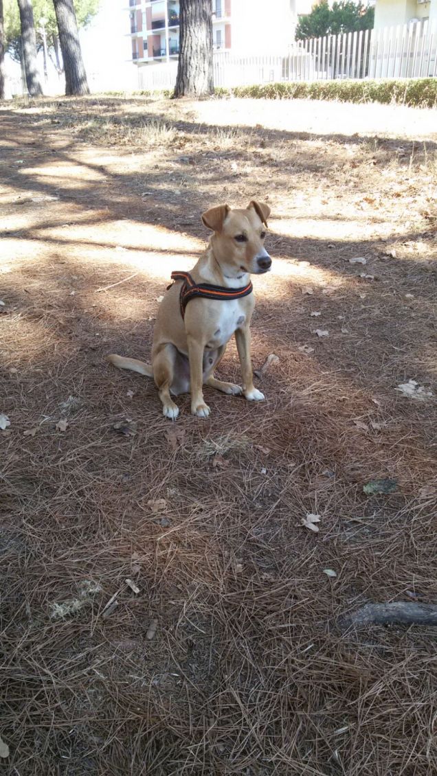 Forse qualcuno arriva.