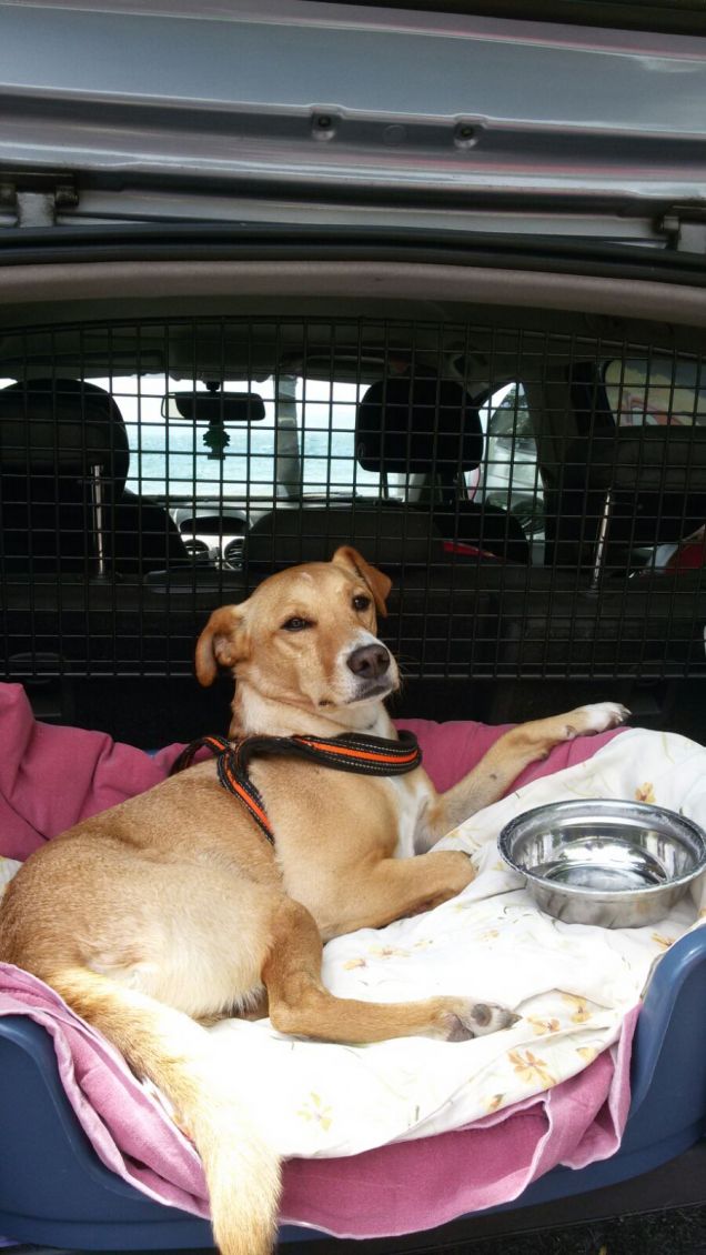 Trattato come un principe