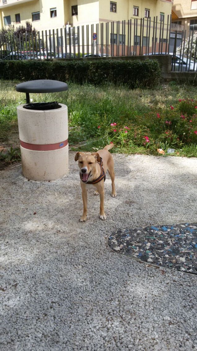 Sembra uguale ad un'altra foto ma è diversa