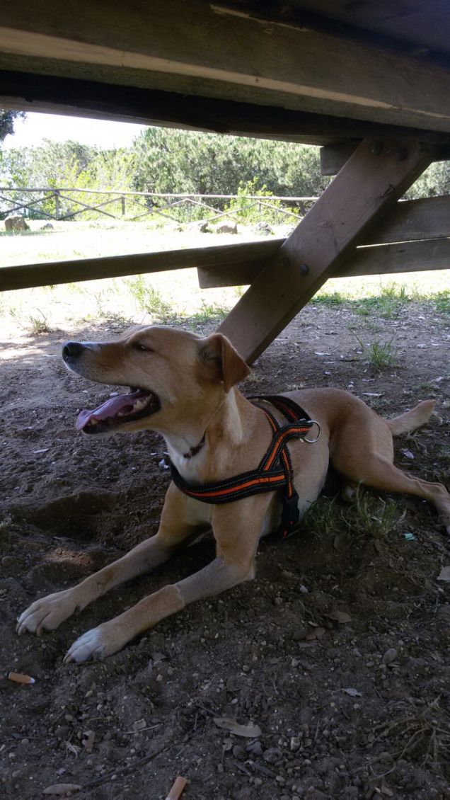 Sono felice di stare qua.