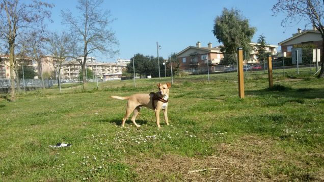 Tanto spazio tutto per me.