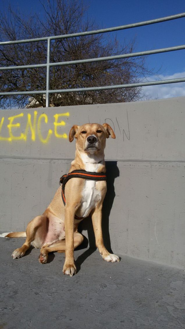 Un attimo di riposo.