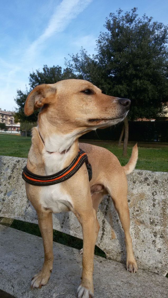 Mi giro e mi rivolto.