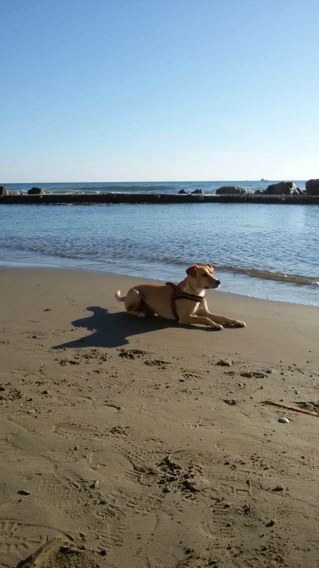 Il mare e la sua magia.