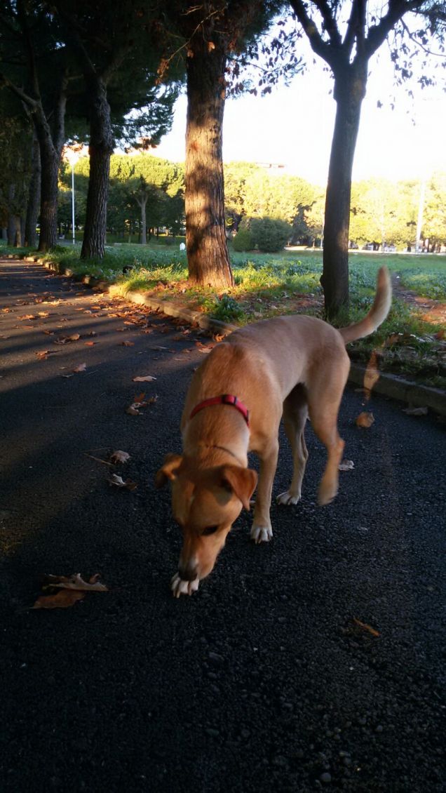 Il mio posto preferito.