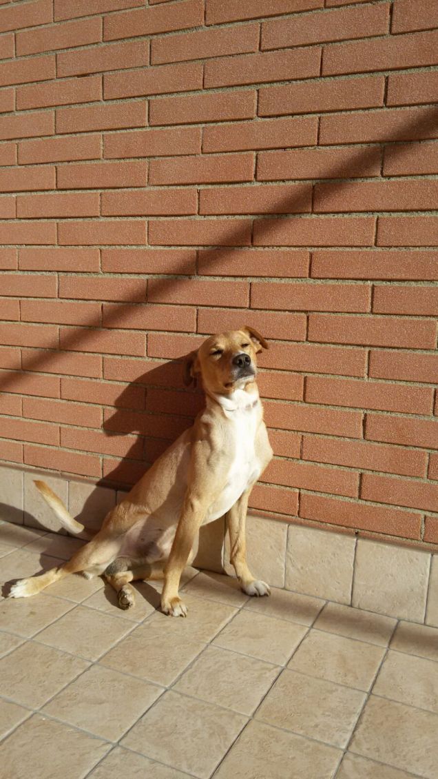 Il sole è mio amico.