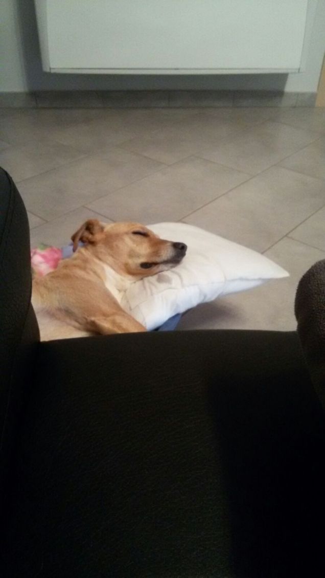 Tra un po vado a passeggio.