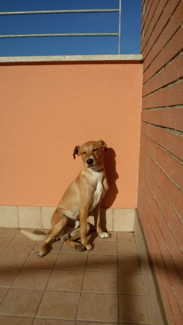 ultime giornate di sole