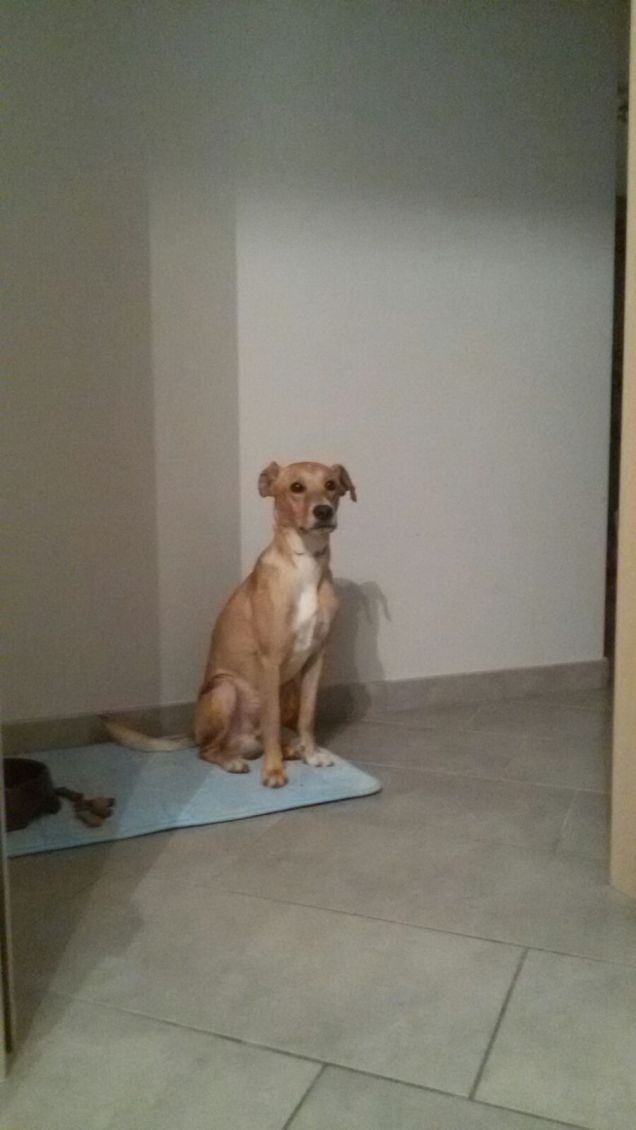 Sono pronto per uscire