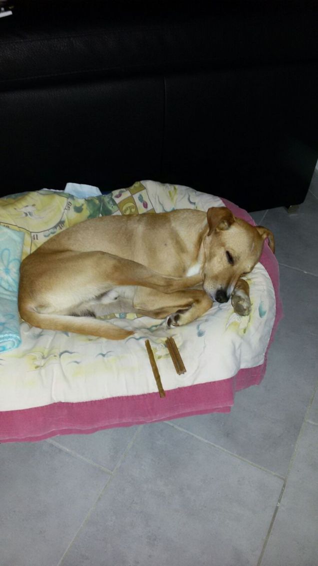 Quando si dorme si dorme.