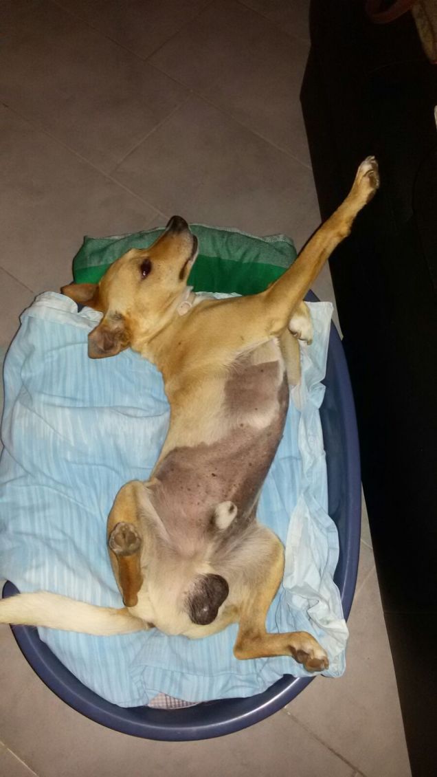 Mi stiro e mi ristiro