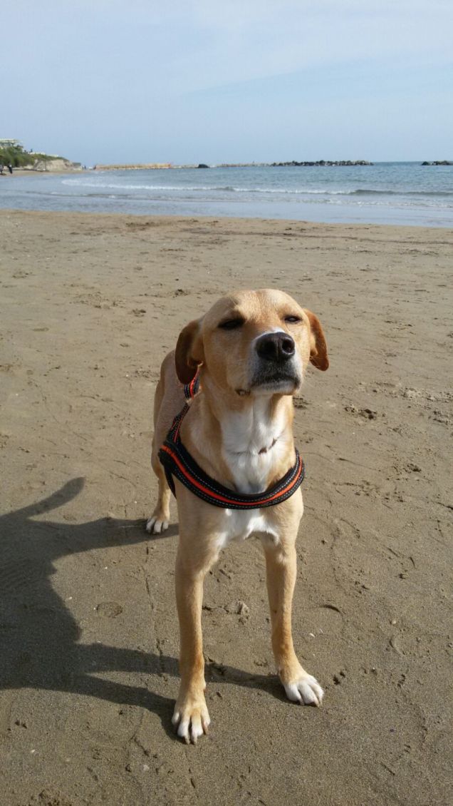 Mare mare tutto l'anno.