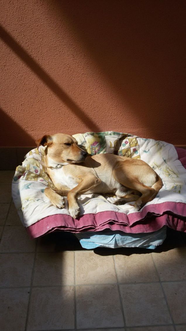 Prendiamo un pò di sole.