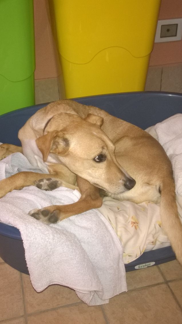 Oggi non sono in forma.