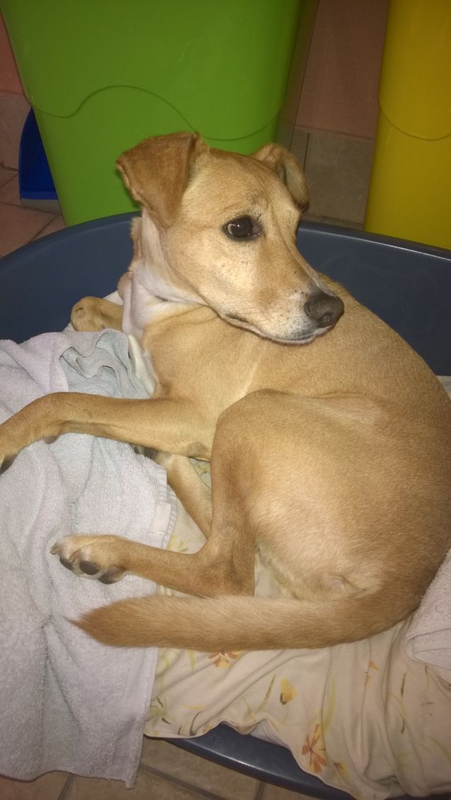 Sguardo da furbetto.