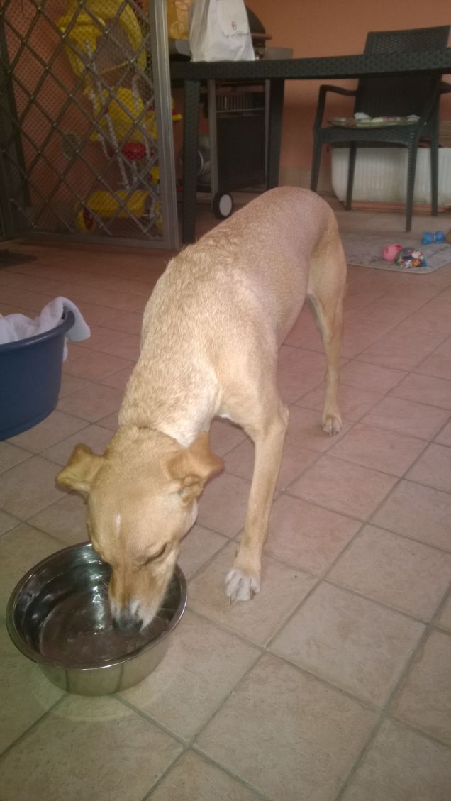 Beviamo un pò d'acqua.