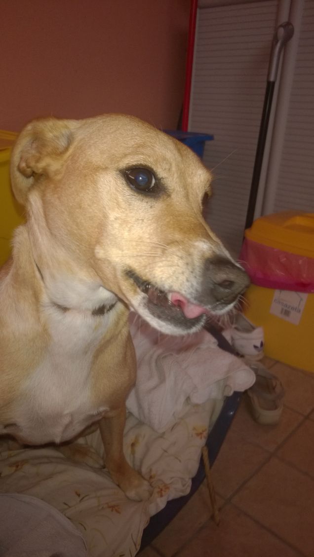 Ecco bravo un bel sorriso.