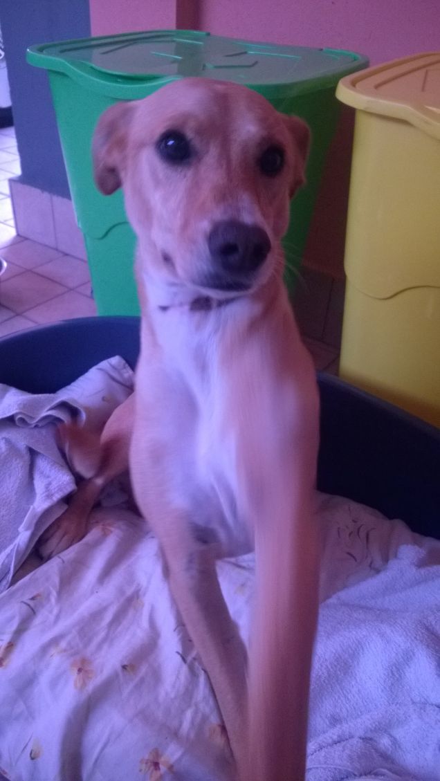 Il mio angolino preferito.