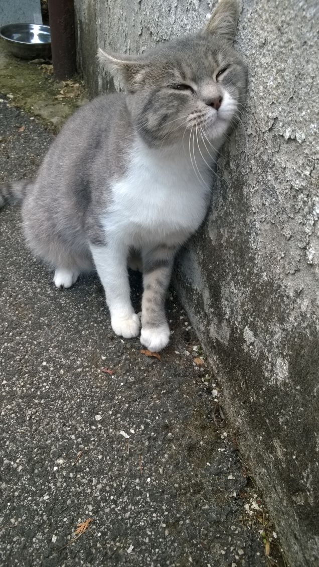 E' una vera coccolona.