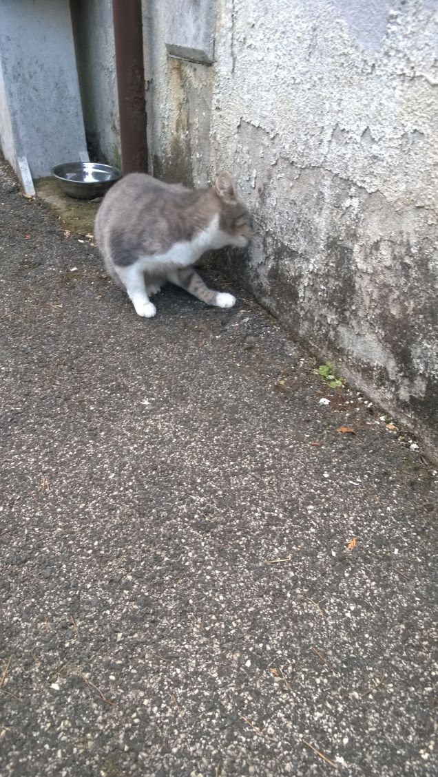 Sono felice che sia venuta da me.