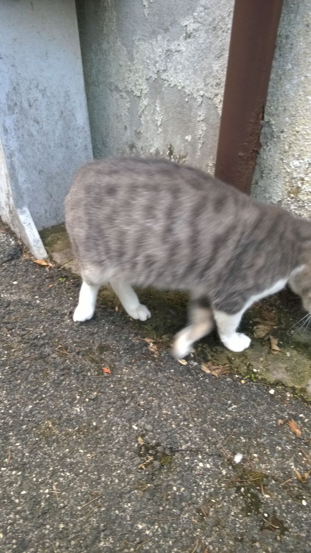 Come modella non è un granchè.