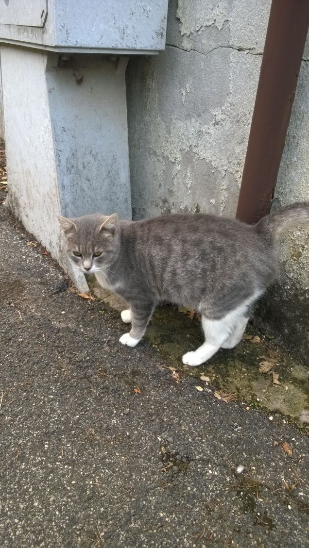 Mi fa tanta tenerezza.