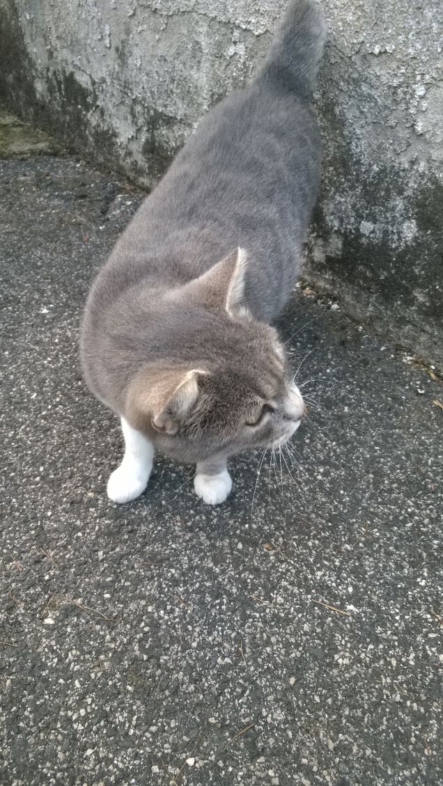 Sono veramente bella.