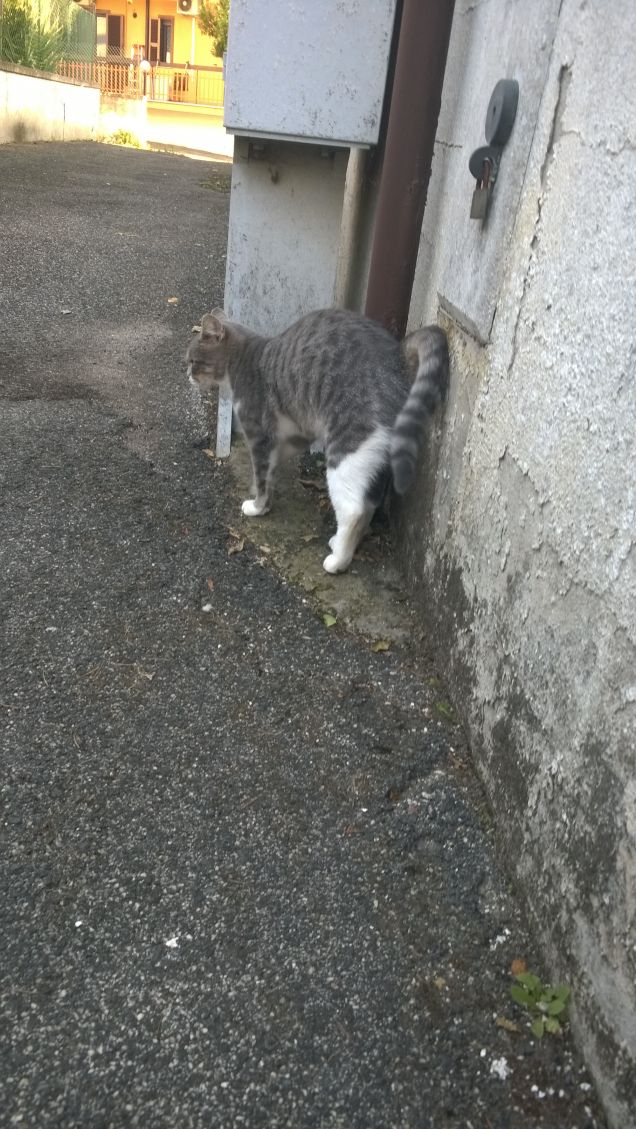 Ciao piccola mia ci vediamo domani.